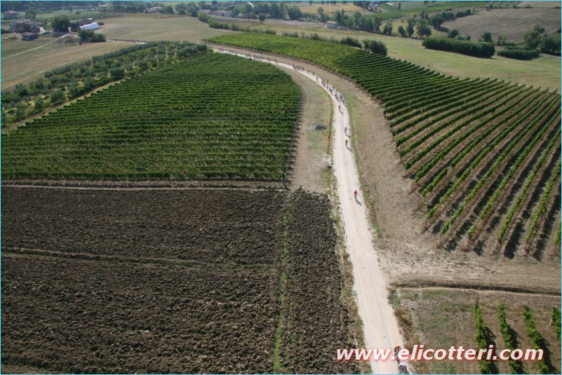 elifoto (235)